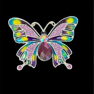 Colorful Butterfly Brooch